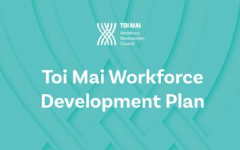 Te rautaki whakawhanake o Toi Mai