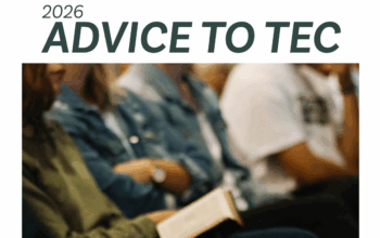 Investment advice to TEC 2024–2026